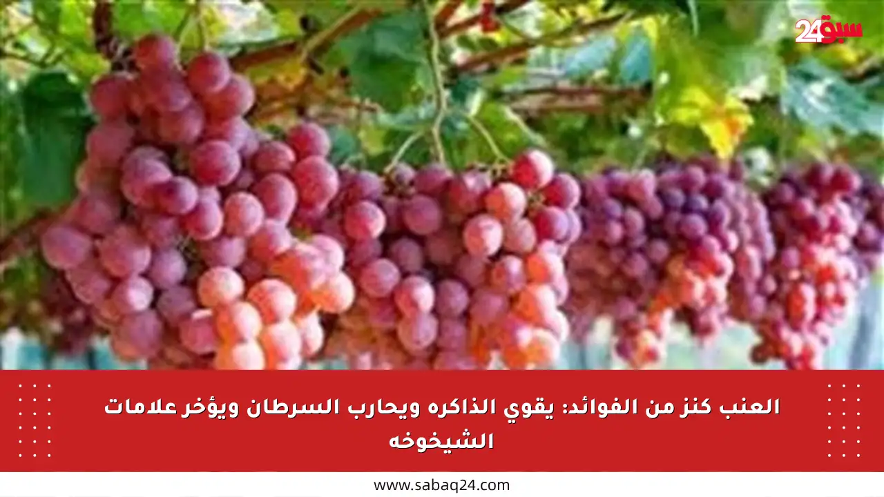 العنب كنز من الفوائد: يقوي الذاكرة ويحارب السرطان ويؤخر علامات الشيخوخة